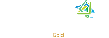 Microsoft Gold Web Partner